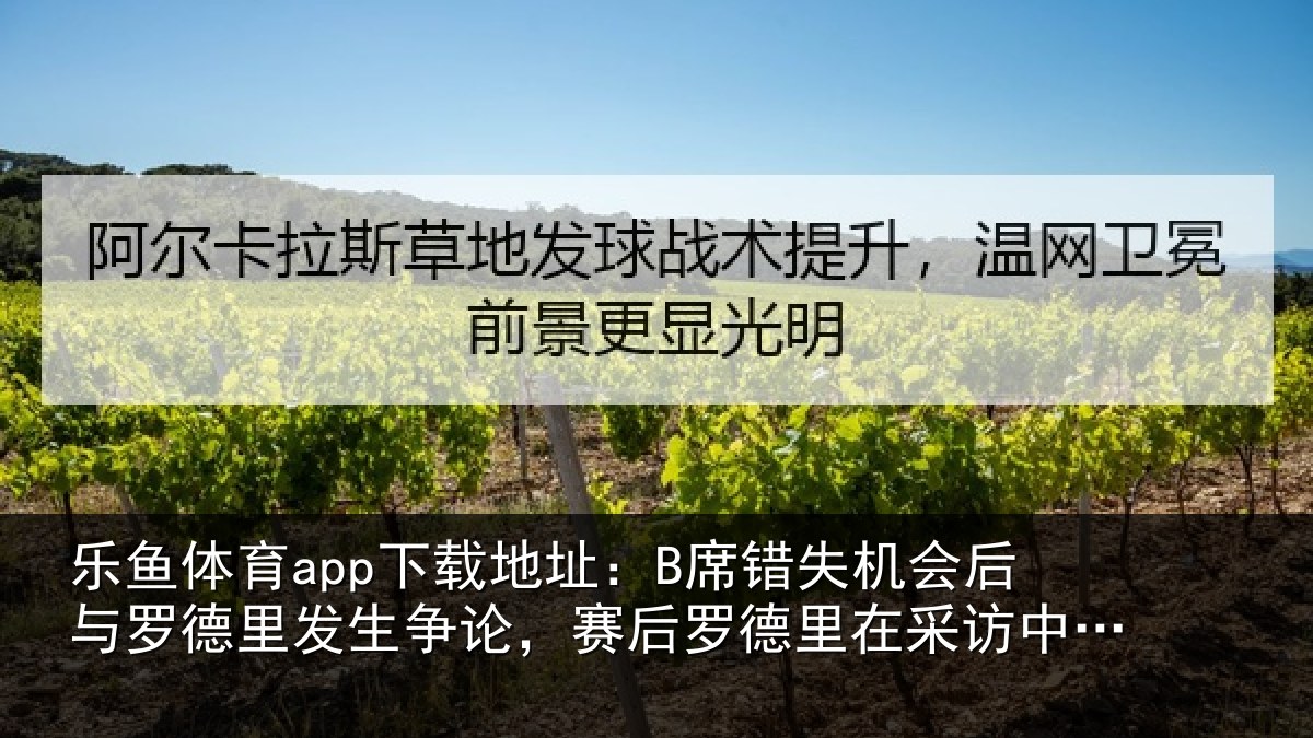 乐鱼体育app下载地址:B席错相关情况发生相关情况采访中向B席致歉