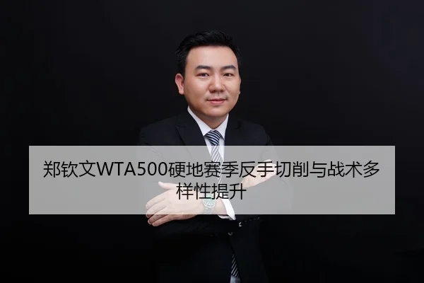 zheng-qin-wen-ying-di-sai-ji-fan-shou-qie-xiao-yu-zhan-shu-duo-yang-xing-ti-sheng-2-381.jpg
