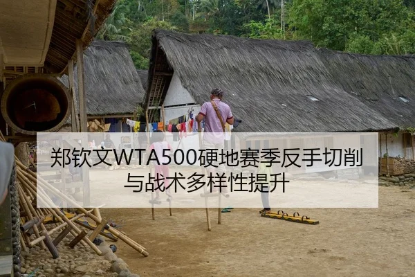 郑钦文WTA500硬地赛季反手切削与战术多样性提升