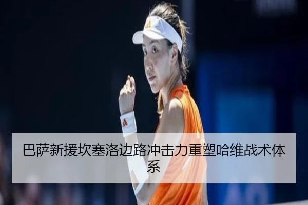 ba-sa-xin-yuan-kan-sai-luo-bian-lu-chong-ji-li-zhong-su-ha-wei-zhan-shu-ti-xi-3-874.jpg