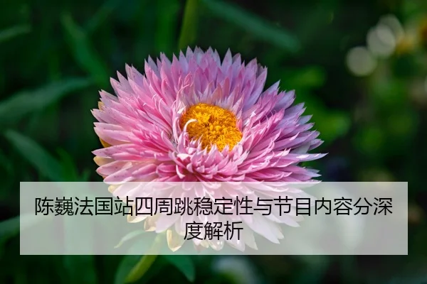 chen-wei-fa-guo-zhan-si-zhou-tiao-wen-ding-xing-yu-jie-mu-nei-rong-fen-shen-du-jie-xi-3-901.jpg