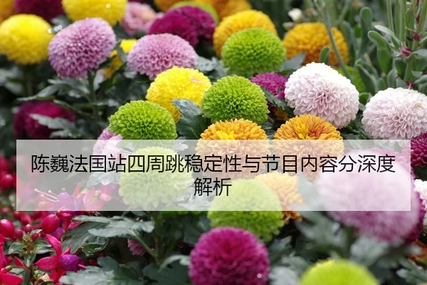 陈巍法国站四周跳稳定性与节目内容分深度解析