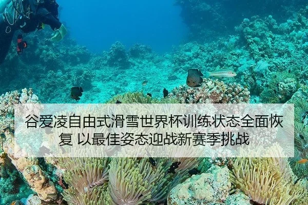 谷爱凌自由式滑雪世界杯训练状态全面恢复 以最佳姿态迎战新赛季挑战